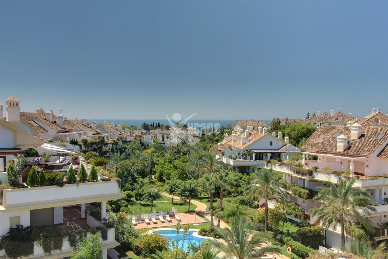 D3130 Luxury Apartment Marbella Golden Mile Spain (12)