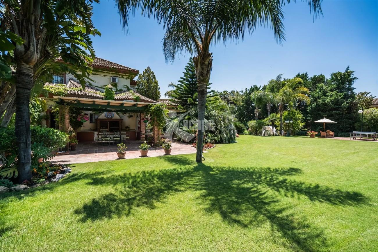 Villa for sale Marbella West Spain (25) (Large)