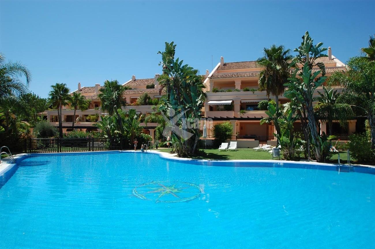 A4215 Luxury Penthouse Nueva Andalucia Marbella (5)