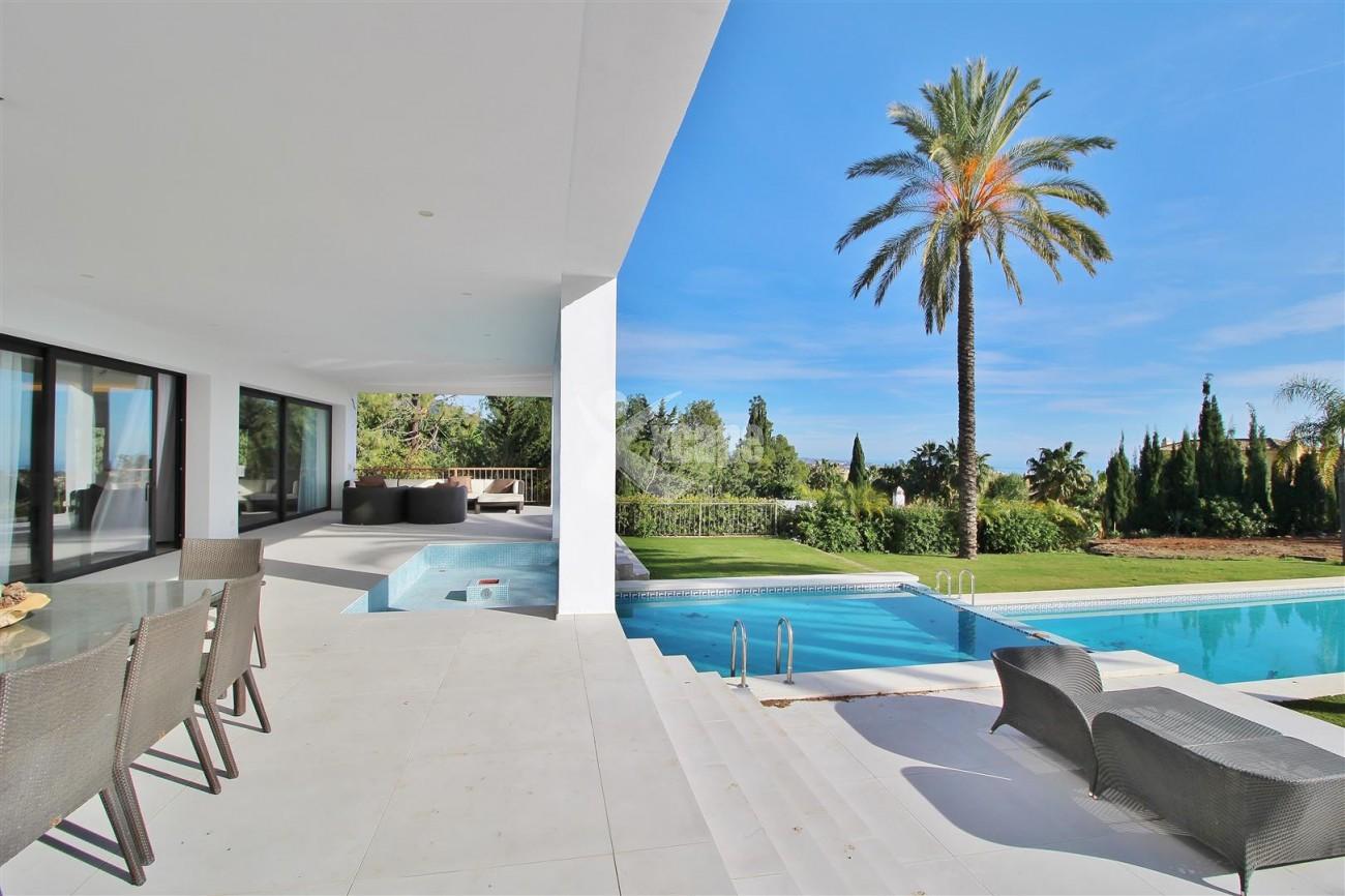 Palace for sale in Marbella Golden Mile Spain (8) (Large)