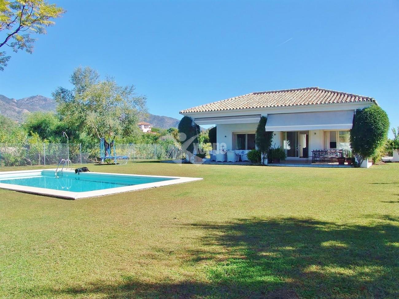 Contemporary Villa in Marbella Golden Mile (5) (Large)
