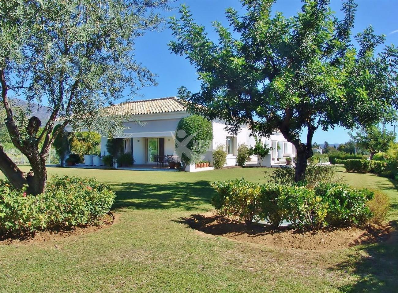Contemporary Villa in Marbella Golden Mile (20) (Large)