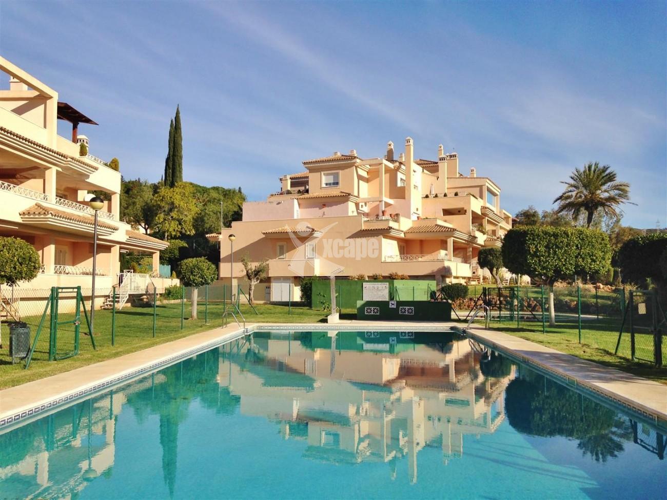 Great Opportunity in Marbella (36) (Large)