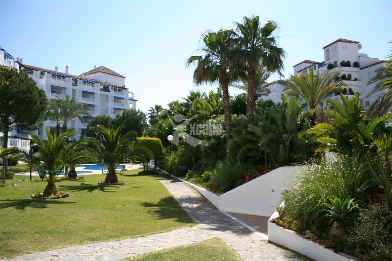 Luxury apartment for sale Puerto Banus Marbella Spain (8) (Large)