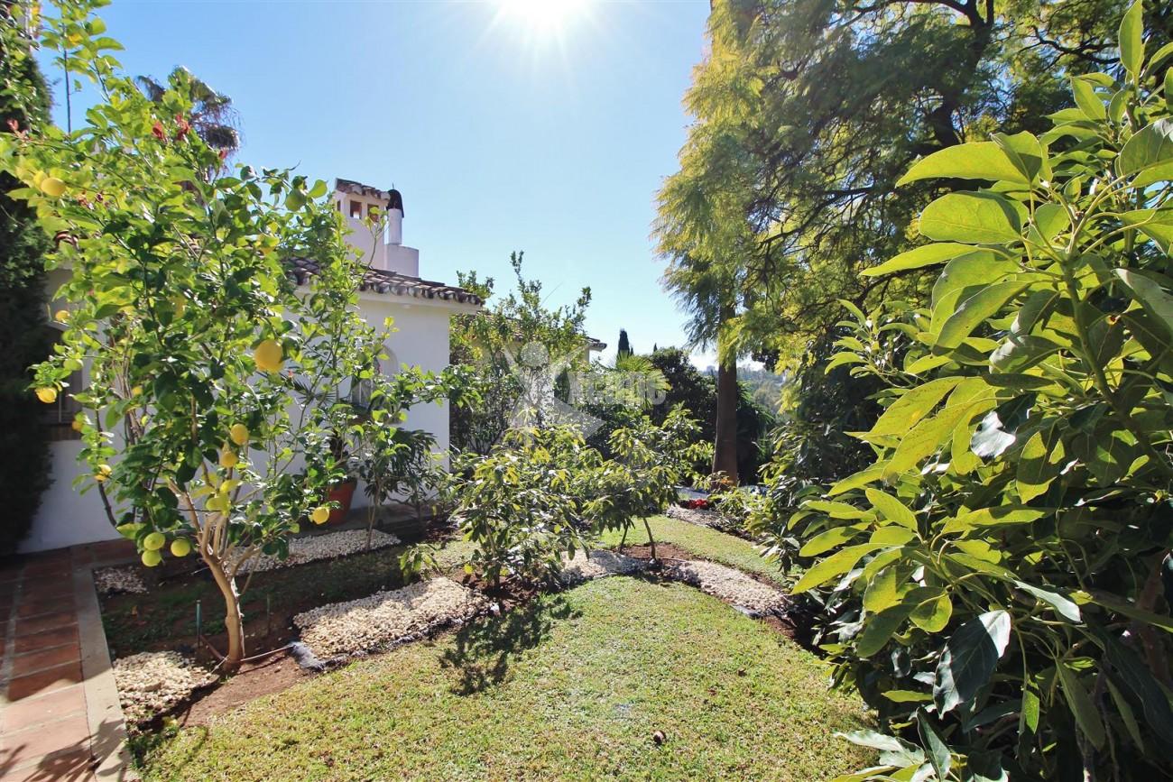 Villa for sale close to Puerto Banus Spain (41) (Large)