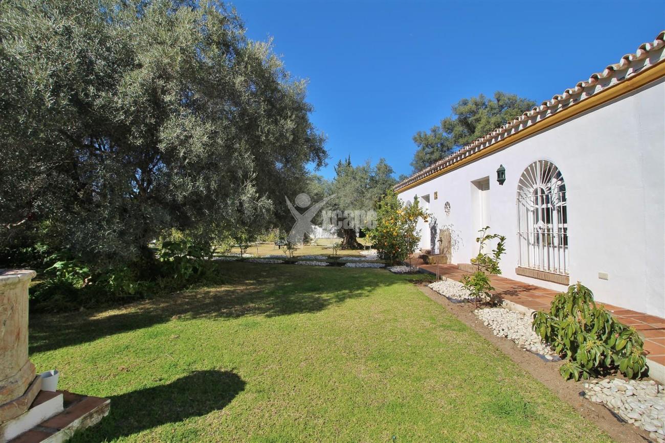 Villa for sale close to Puerto Banus Spain (11) (Large)