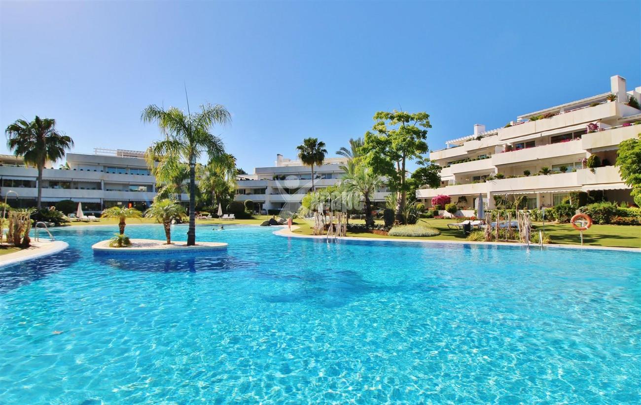 Frontline Golf Luxury Apartment for sale Nueva Andalucia Marbella Spain (1) (Large)