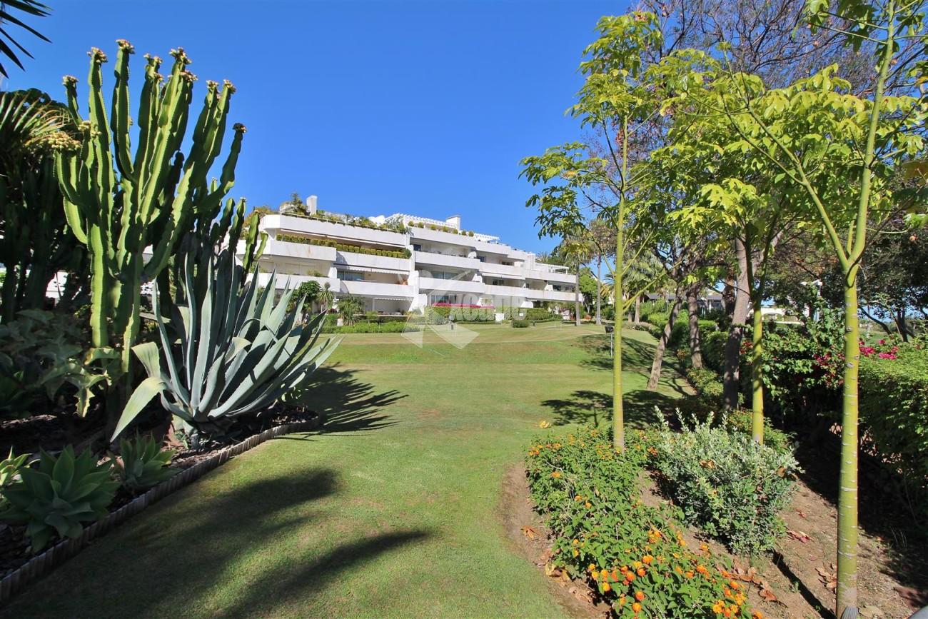 Frontline Golf Luxury Apartment for sale Nueva Andalucia Marbella Spain (2) (Large)