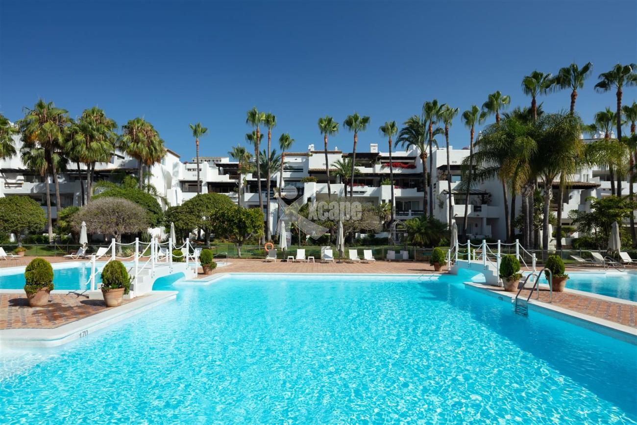 Exclusive Beachside Marbella Golden Mile Apartment (2) (Large)