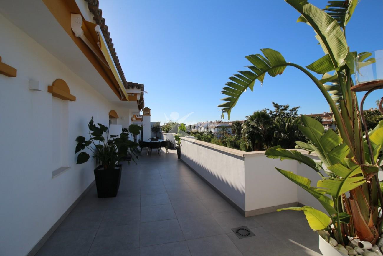 Fully Renovated Penthouse Nueva Andalucia (16)