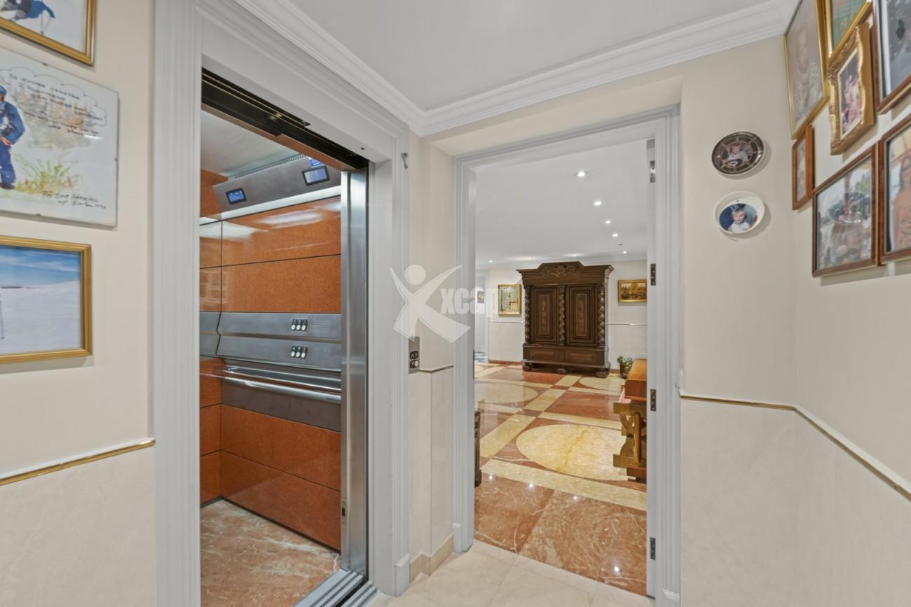 Luxury Villa for sale Nueva Andalucia (51)